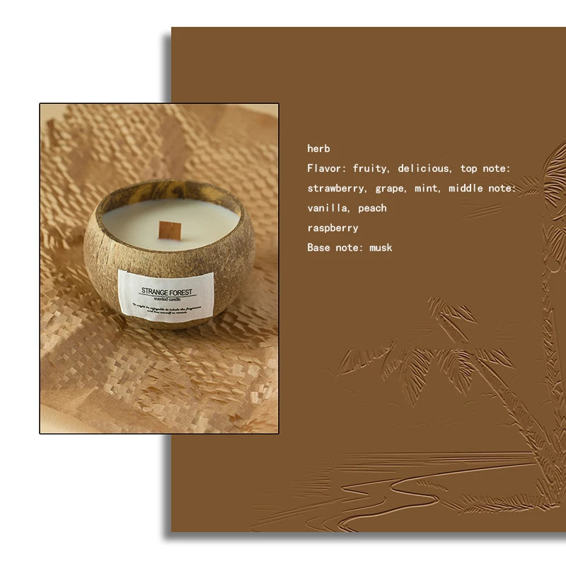 Bougie Parfumée Coquille de Coco