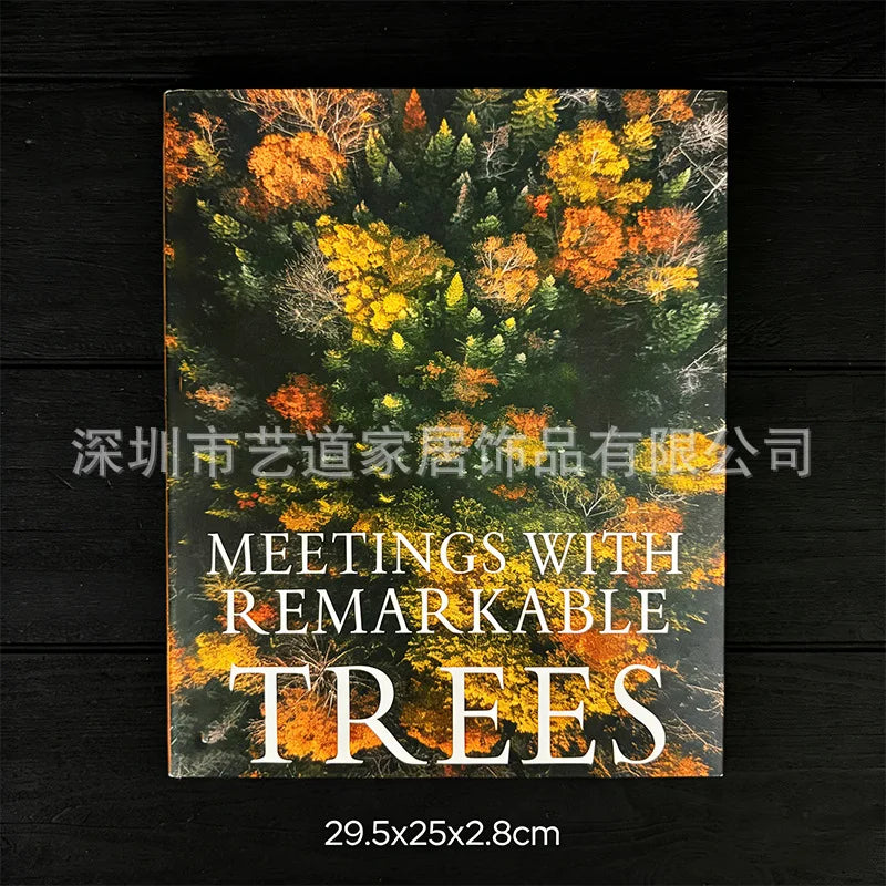 Curated Display Books – Styled Decor Editions