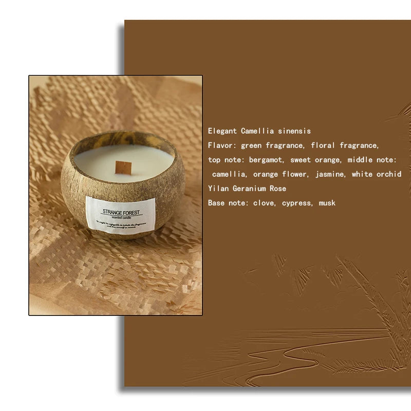 Bougie Parfumée Coquille de Coco