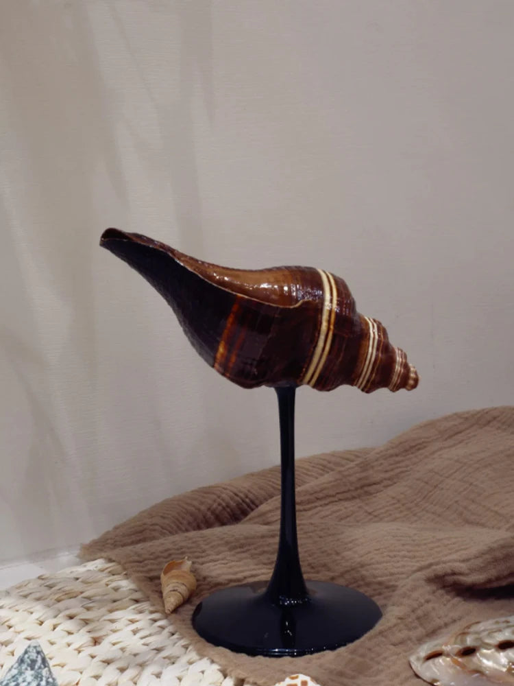 Verre à Vin en Coquillage Naturel - Fait Main, Style Nordique