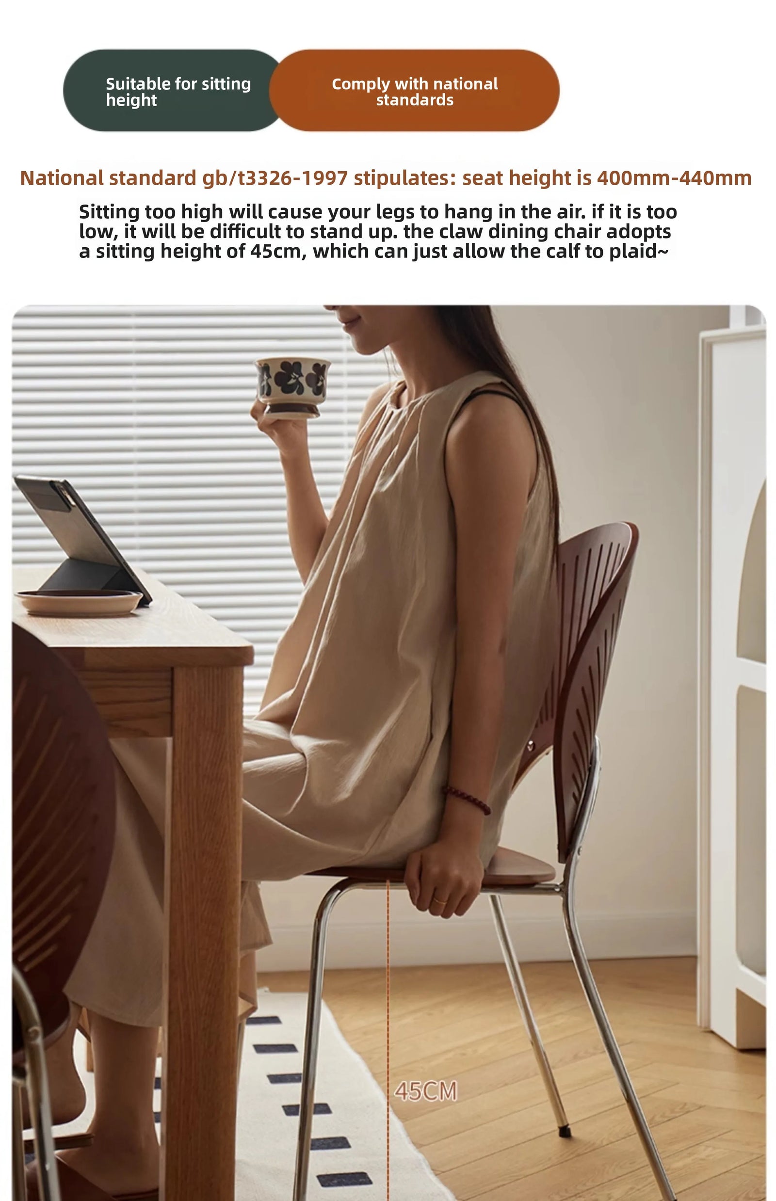 Chaise de Salle à Manger en Acier Inoxydable