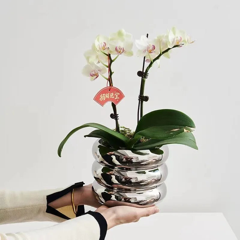 Ceramic Desktop Flower Pot – Minimalist Planter Vase
