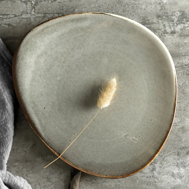 Assiette en Céramique Forme Irrégulière Style Nordique