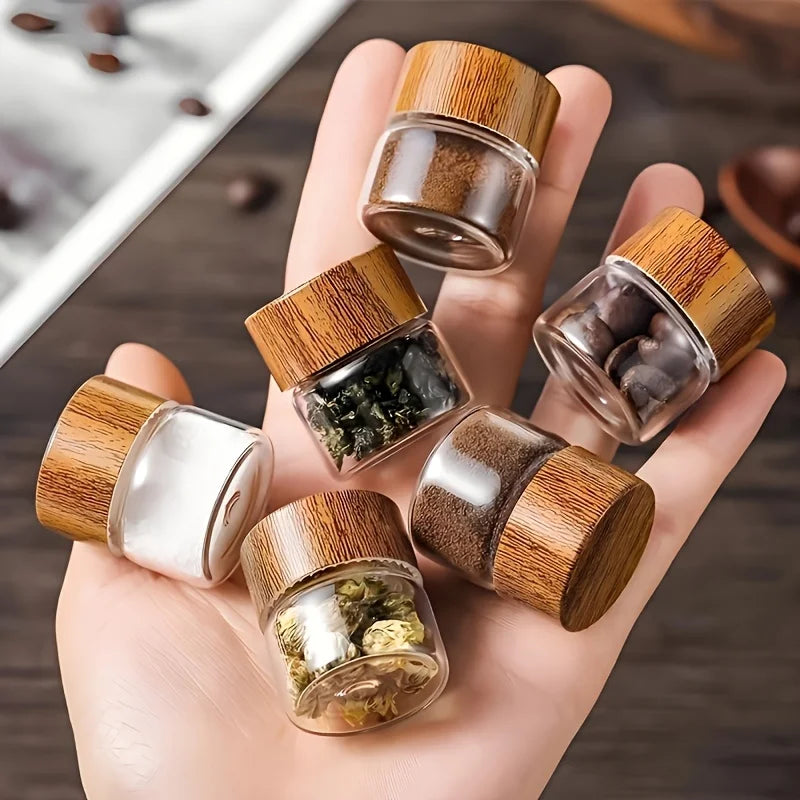Ensemble de 6 Flacons de Voyage en Verre