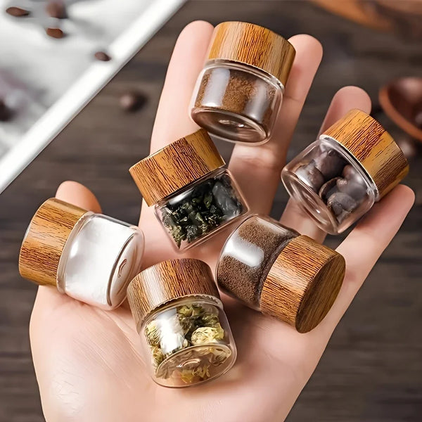 Ensemble de 6 Flacons de Voyage en Verre