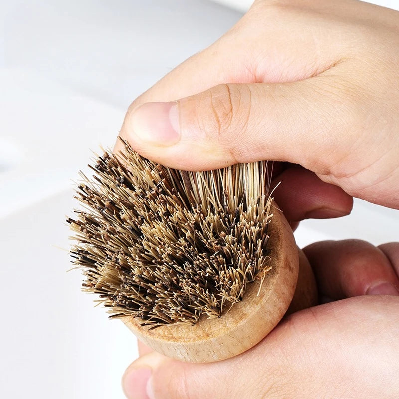Brosse à Vaisselle en Bois Sisal et Coco Écologique