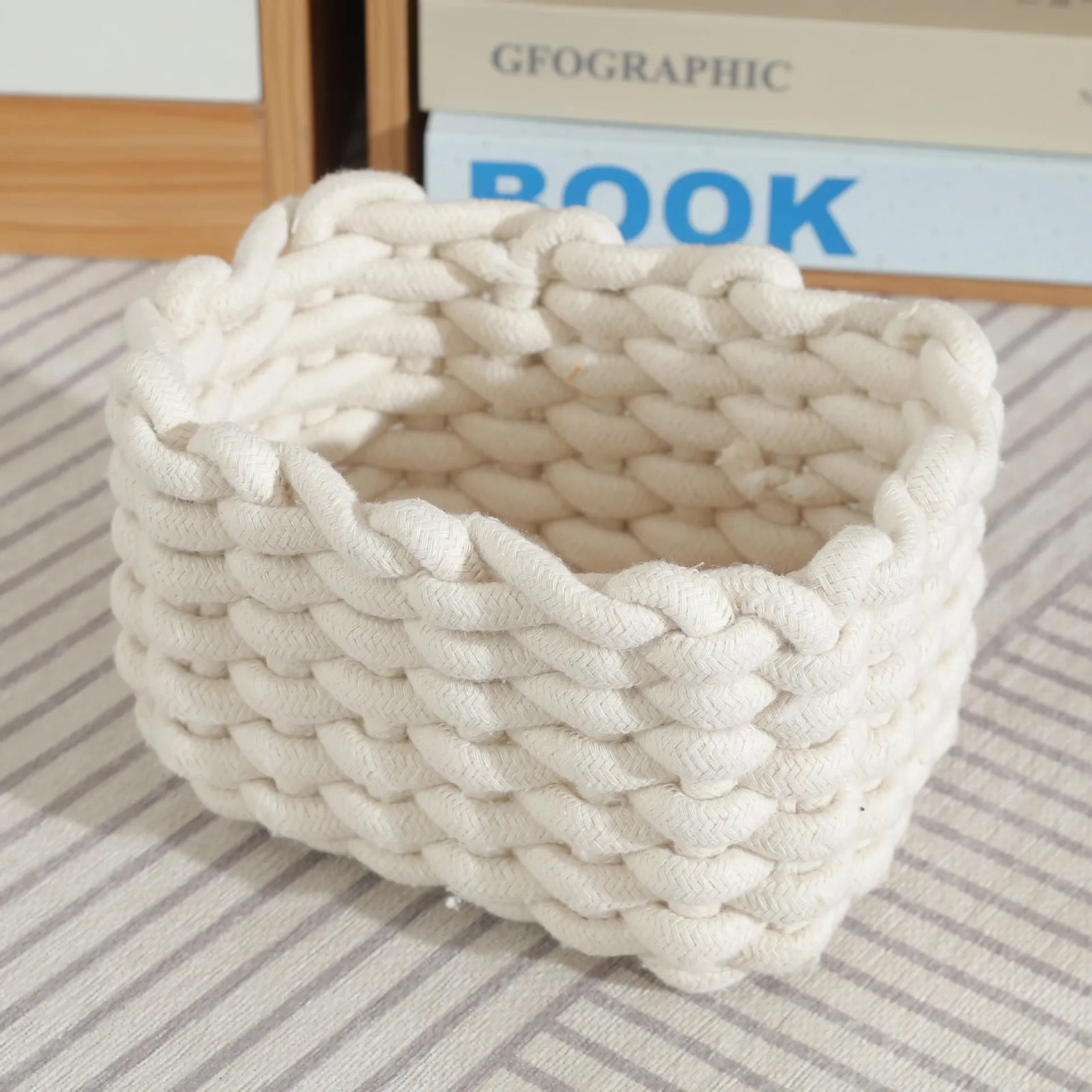 Petit Panier de Rangement Tressé en Corde de Coton