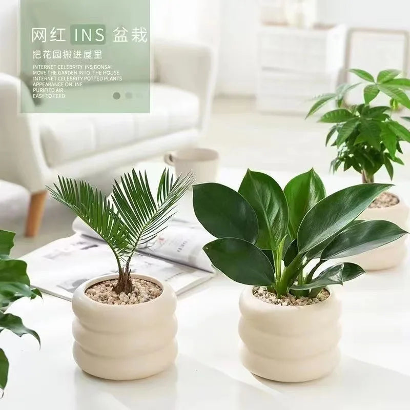 Ceramic Desktop Flower Pot – Minimalist Planter Vase