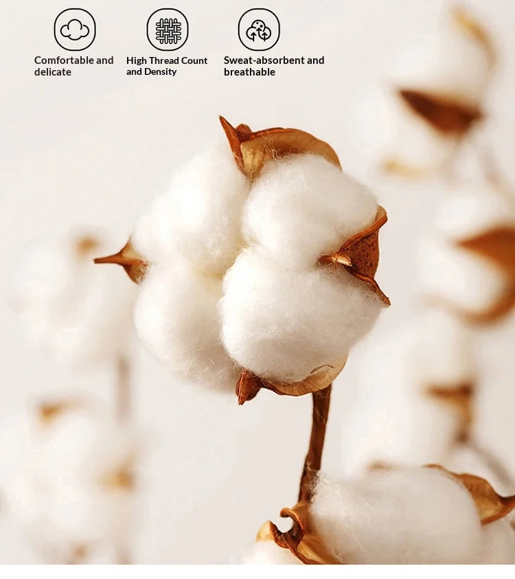 Parure de Lit en Coton Égyptien 3 Pièces